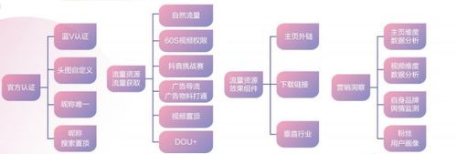 抖音直播運(yùn)營總監(jiān)的工作職責(zé),運(yùn)營總監(jiān)的職責(zé)主要有哪些？  第2張