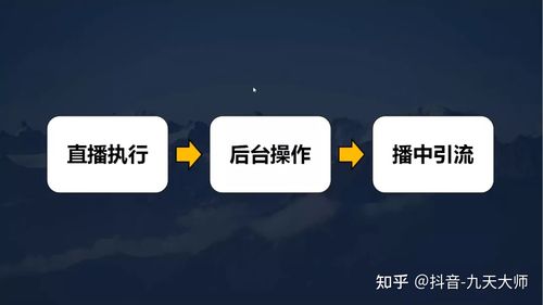 抖音直播帶貨流程圖,抖音直播帶貨有哪些小細(xì)節(jié)？  第4張