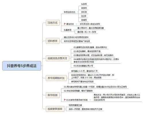 抖音直播運(yùn)營(yíng)方案(抖音直播運(yùn)營(yíng)操作有哪些技巧？)  第1張