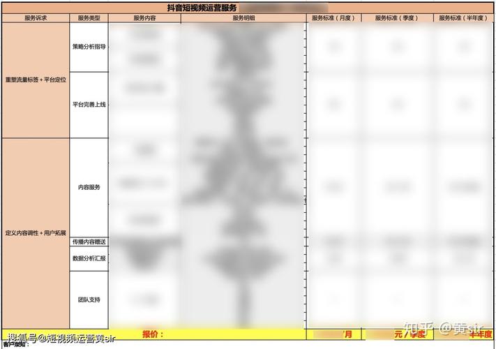 抖音代運營收費模式(上海的抖音代運營模式是怎么樣的呢？)  第3張