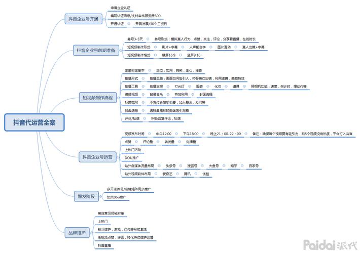 抖音電商運營策略,抖音運營有什么技巧策略？  第3張