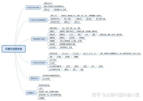 十大抖音代運營公司,抖音代運營做得比較好的公司是？  第2張