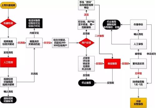 抖音直播代運營主要工作內容,深圳抖音代運營哪家好？  第3張