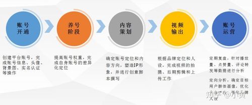 試分析抖音的運營管理模式(抖音認證-抖音企業(yè)認證、抖音運營、  第1張