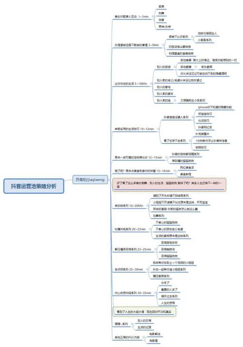 試分析抖音的運營管理模式(抖音認證-抖音企業(yè)認證、抖音運營、  第2張