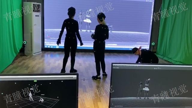 手機可以用虛擬人物直播么,虛擬人物直播軟件手機版下載  第2張