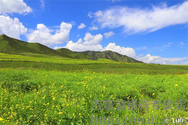 風(fēng)景虛擬背景直播視頻,視頻直播 虛擬背景  第4張