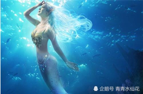 山海經(jīng)人魚虛擬人物,山海經(jīng)美人魚介紹  第2張