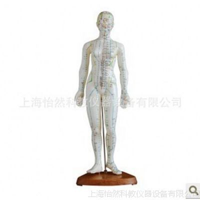 虛擬人體經(jīng)絡模型,人體經(jīng)絡模型哪里有賣  第2張