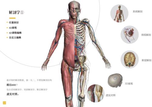 虛擬人體解剖臺,立體全身解剖模擬器  第2張