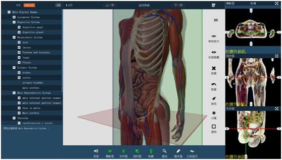 虛擬人體解剖實驗室有哪些,虛擬仿真解剖實驗室  第1張