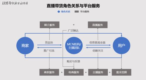 虛擬人怎么直播帶貨,個人可以直播帶貨嗎  第2張