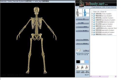 虛擬人解剖軟件,三維人體解剖軟件  第1張