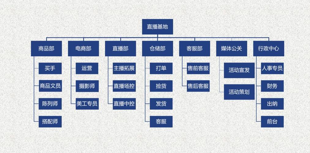 上海代運營直播的公司,直播代播公司(上海直播運營招聘)  第3張