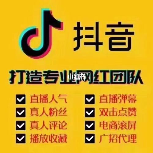 抖音直播代運營是真的嗎,抖音直播代運營團隊(什么叫抖音代運營)  第1張