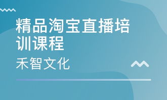 淘寶直播培訓(xùn)課程代運(yùn)營,淘寶直播代運(yùn)營公司(淘寶直播代運(yùn)營哪個公司好)  第2張