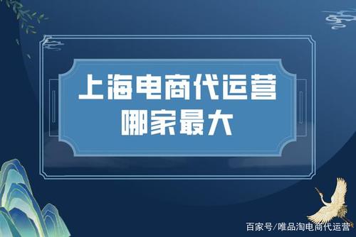 電商直播代運營公司圖,電商直播代運營公司圖(直播電商公司簡介)  第4張