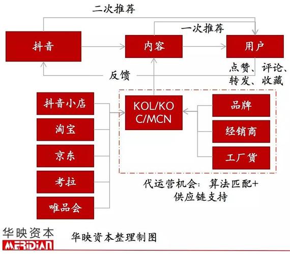 直播代運營公司模式,直播代運營服務(wù)(直播電商代運營)  第4張