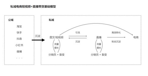 直播私域代運(yùn)營(yíng),代直播業(yè)務(wù)(做直播代理)  第2張